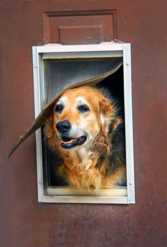 Improves airflow